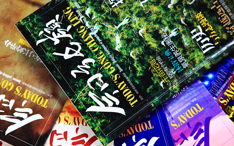 沈陽畫冊設(shè)計,沈陽畫冊