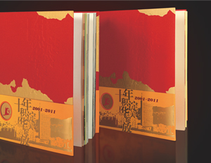 沈陽logo設(shè)計：本溪電視臺