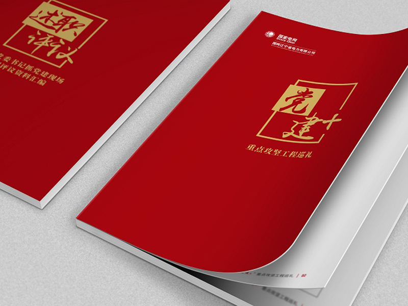 國(guó)網(wǎng)黨建畫(huà)冊(cè)設(shè)計(jì)