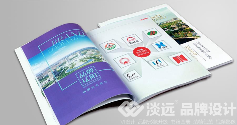 沈陽(yáng)企業(yè)畫冊(cè)設(shè)計(jì)欣賞-品牌遼陽(yáng)2