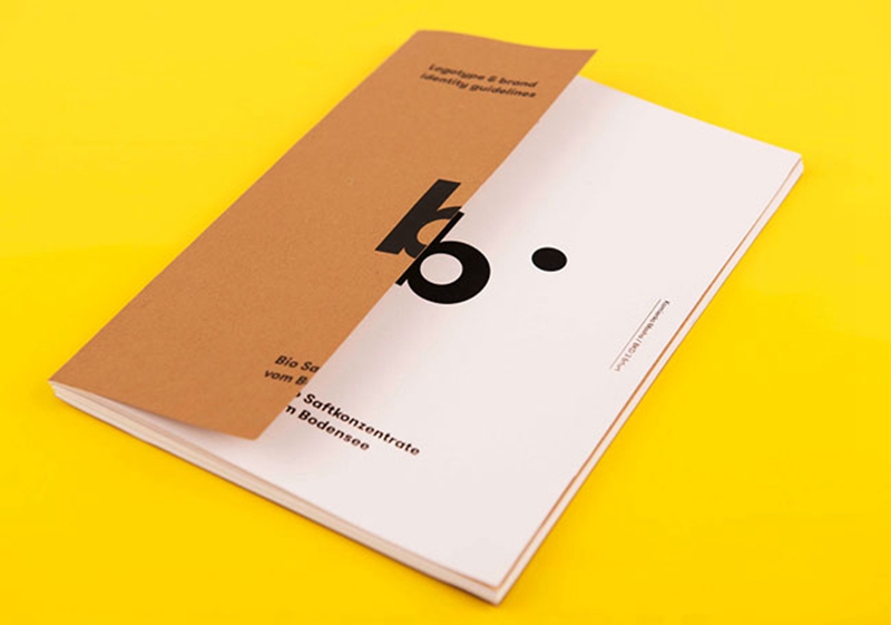 鞍山產(chǎn)品畫冊(cè)設(shè)計(jì)欣賞-果汁畫冊(cè)設(shè)計(jì)1