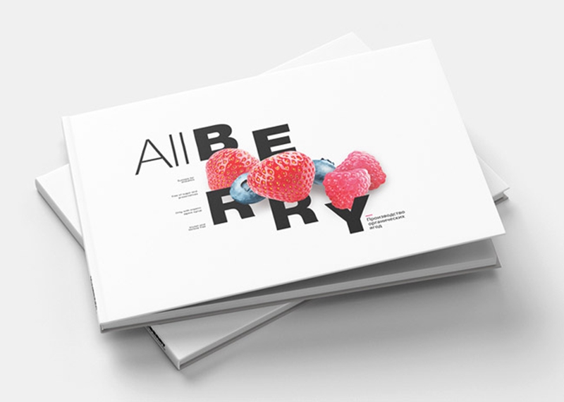 鞍山產(chǎn)品畫冊(cè)設(shè)計(jì)欣賞-有機(jī)水果畫冊(cè)設(shè)計(jì)1