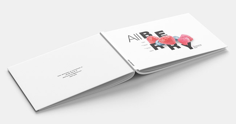 鞍山產(chǎn)品畫冊(cè)設(shè)計(jì)欣賞-有機(jī)水果畫冊(cè)設(shè)計(jì)2