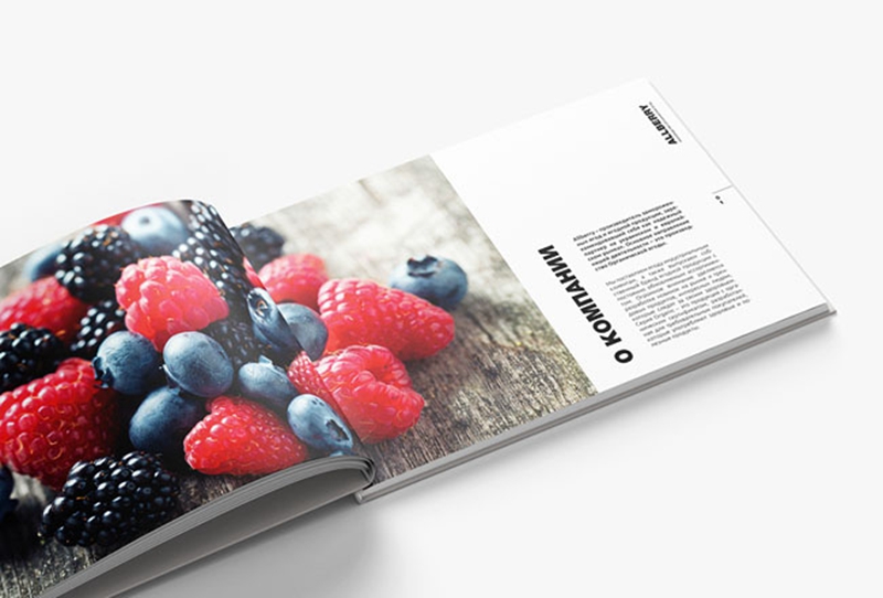 鞍山產(chǎn)品畫冊(cè)設(shè)計(jì)欣賞-有機(jī)水果畫冊(cè)設(shè)計(jì)3