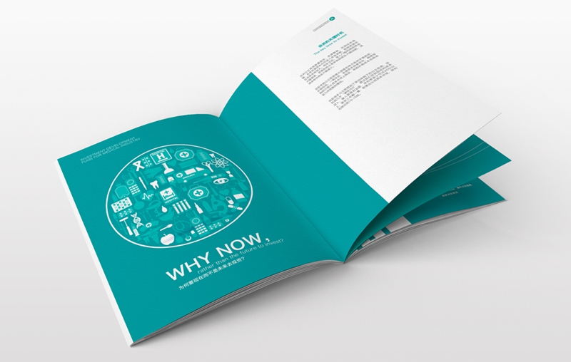 沈陽畫冊設計-資本金融畫冊設計2