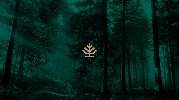 酒店品牌設計體現(xiàn)品牌定位