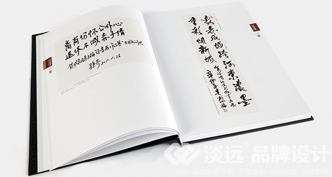 鞍山畫冊-河?xùn)|的崛起