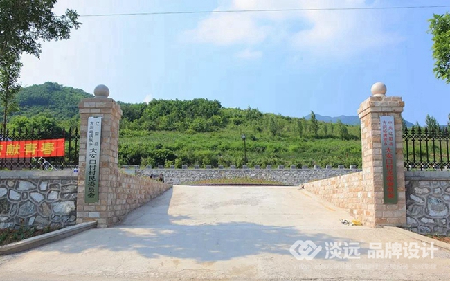 淡遠(yuǎn),大安口村黨建建設(shè)