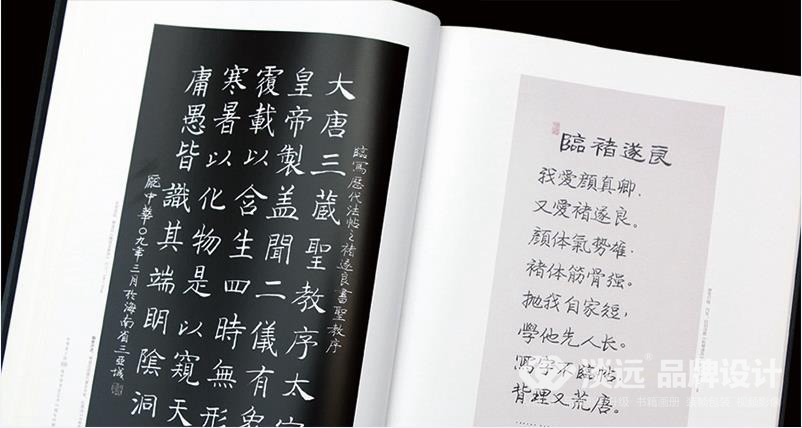 遼陽(yáng)畫冊(cè)設(shè)計(jì),龐中華書法藝術(shù)30周年回顧大展作品集
