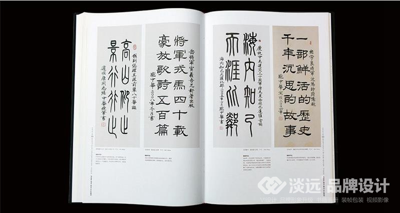 遼陽(yáng)畫冊(cè)設(shè)計(jì),龐中華書法藝術(shù)30周年回顧大展作品集