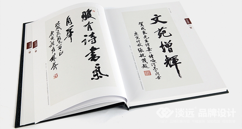 書籍畫冊(cè)策劃,河?xùn)|的崛起