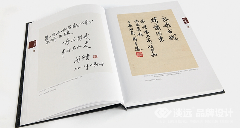 書籍畫冊(cè)策劃,河?xùn)|的崛起