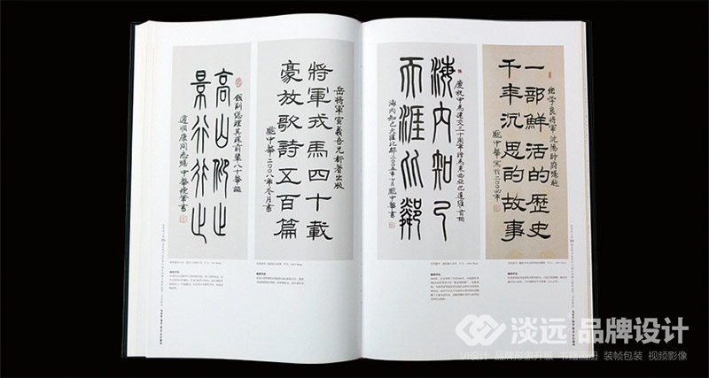 書(shū)籍畫(huà)冊(cè)設(shè)計(jì),龐中華書(shū)法藝術(shù)30周年回顧大展作品集