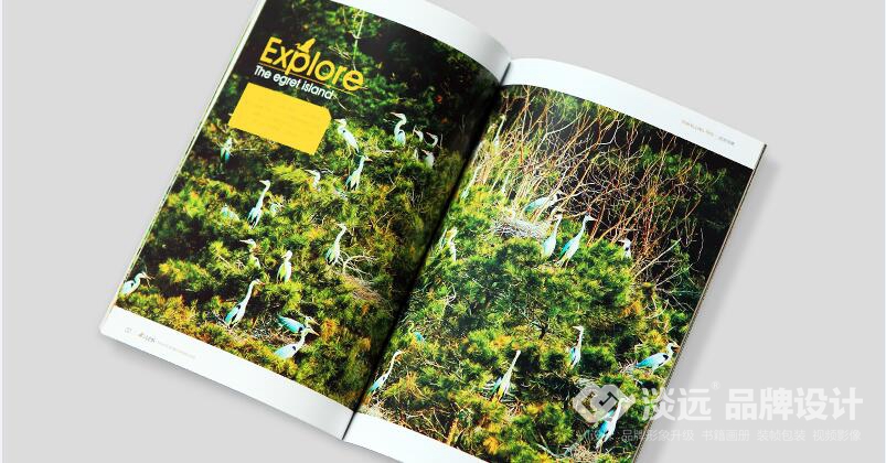 弓長嶺雜志,書籍畫冊設(shè)計