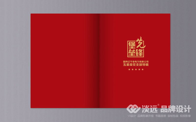 企業(yè)畫冊設(shè)計,國網(wǎng)黨支部匯編手冊