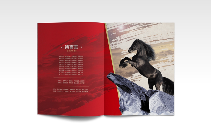 企業(yè)宣傳冊設(shè)計(jì),遼陽銀行宣傳冊