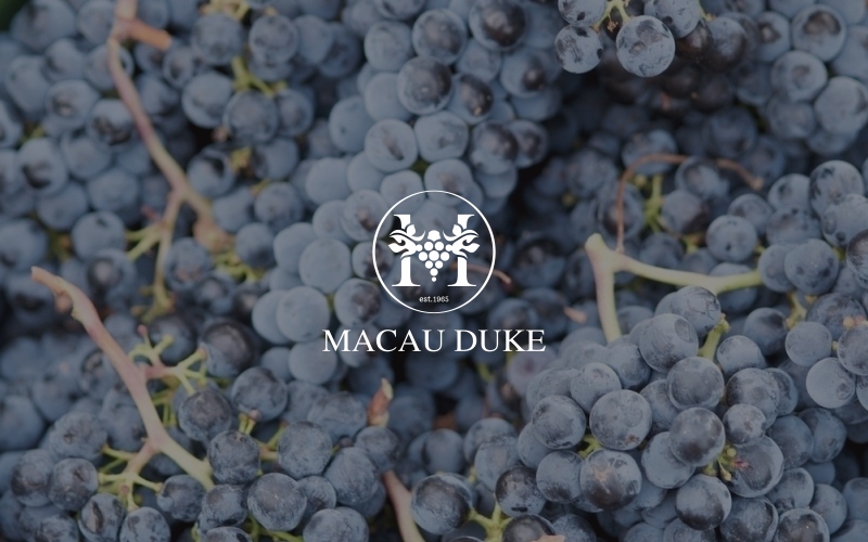 品牌標(biāo)志設(shè)計(jì),澳爵濃冰葡萄酒標(biāo)志設(shè)計(jì)