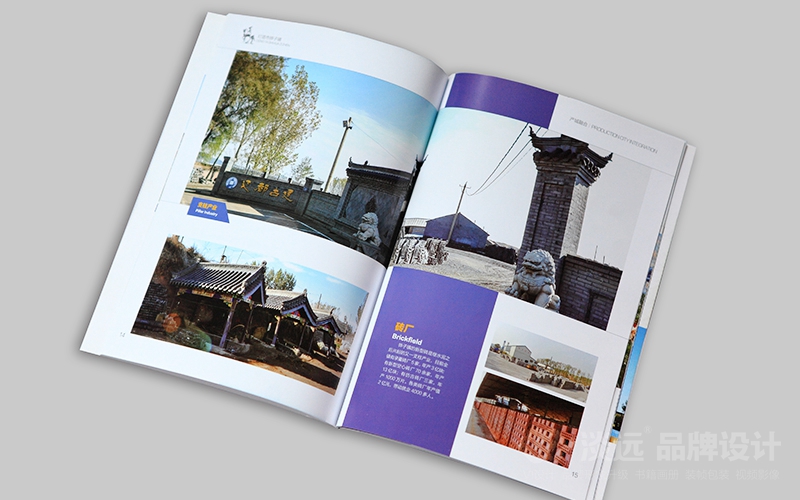 企業(yè)畫(huà)冊(cè)設(shè)計(jì),燈塔市鏵子鎮(zhèn)政府畫(huà)冊(cè)