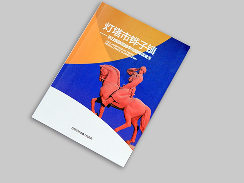 燈塔市鏵子鎮(zhèn)政府畫冊(cè)