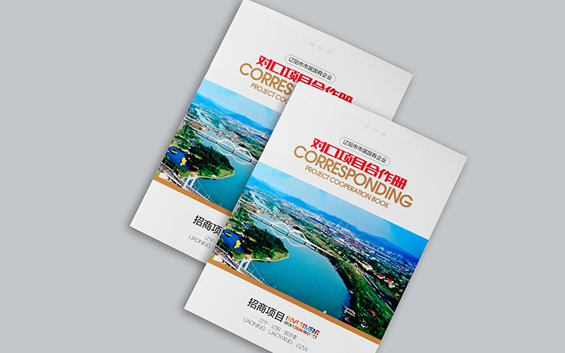 企業(yè)畫(huà)冊(cè)設(shè)計(jì),國(guó)資委招商項(xiàng)目?jī)?cè)