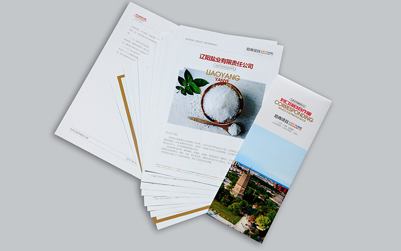 企業(yè)畫(huà)冊(cè)設(shè)計(jì),國(guó)資委招商項(xiàng)目?jī)?cè)