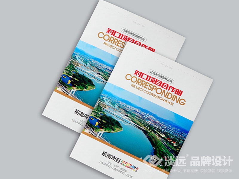 企業(yè)畫(huà)冊(cè)設(shè)計(jì)：國(guó)資委招商項(xiàng)目?jī)?cè)