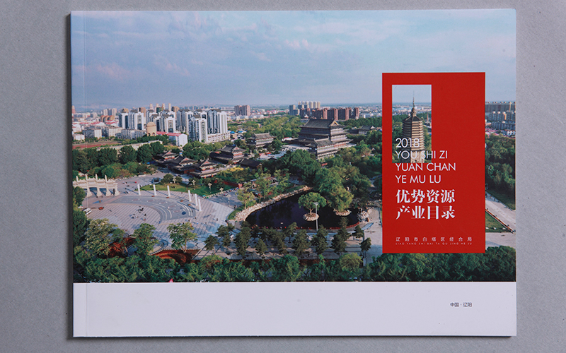 企業(yè)宣傳冊設計,白塔區(qū)經(jīng)合局畫冊