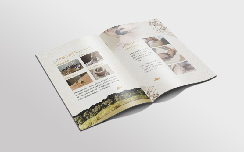 宣傳冊設(shè)計,達摩然道堂