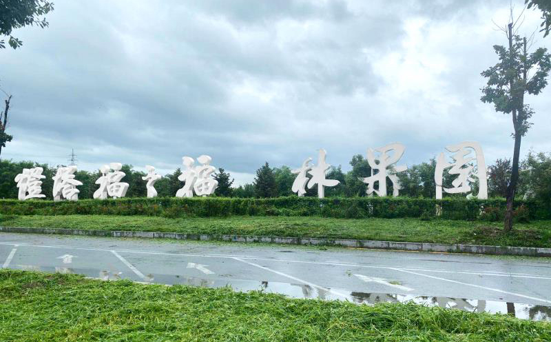 立體字項(xiàng)目