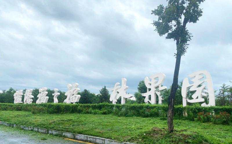 立體字項(xiàng)目1