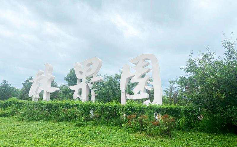 立體字項(xiàng)目3