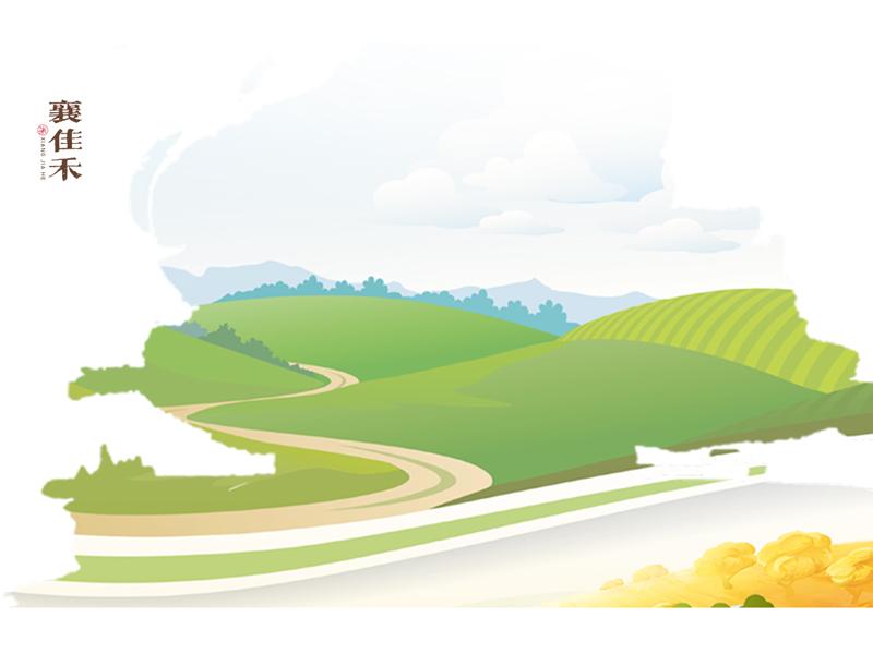 襄佳禾大米包裝設(shè)計