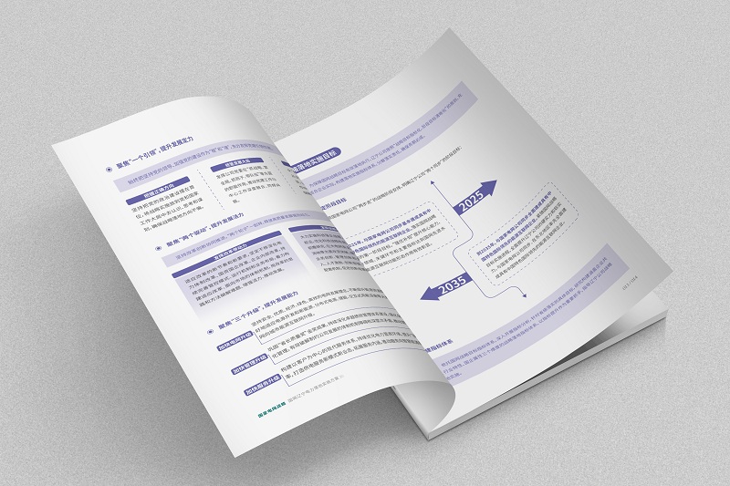 沈陽畫冊設(shè)計(jì)：國家電網(wǎng)戰(zhàn)略實(shí)施方案