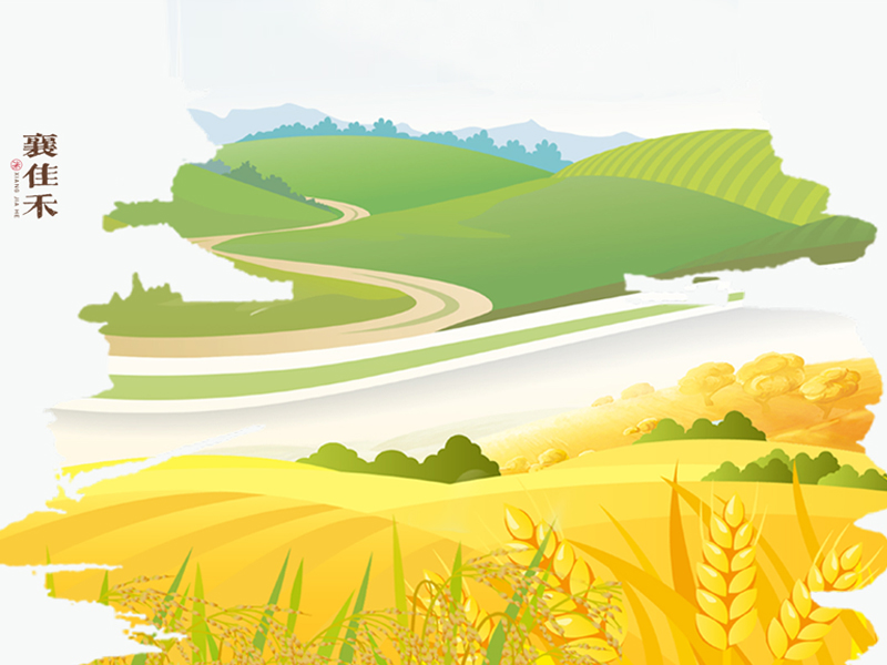 沈陽包裝設(shè)計(jì):襄佳禾大米包裝設(shè)計(jì)